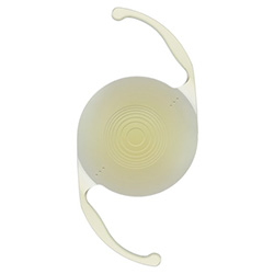 多焦点乱視度数加入付き眼内レンズ(多焦点トーリックレンズ)